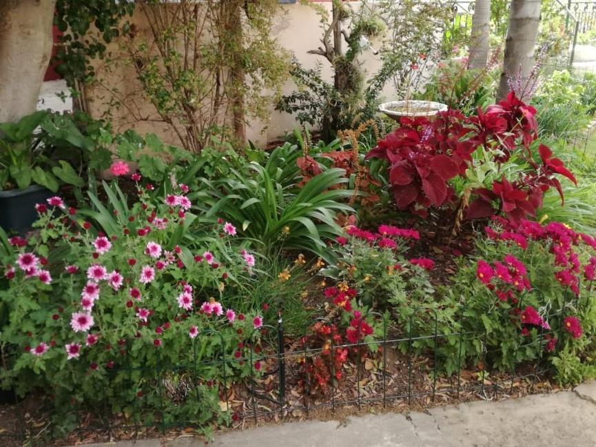 Bed and Breakfast Squirrels Corner Montagu Exterior foto