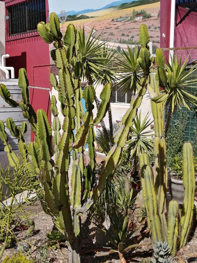 Bed and Breakfast Squirrels Corner Montagu Exterior foto