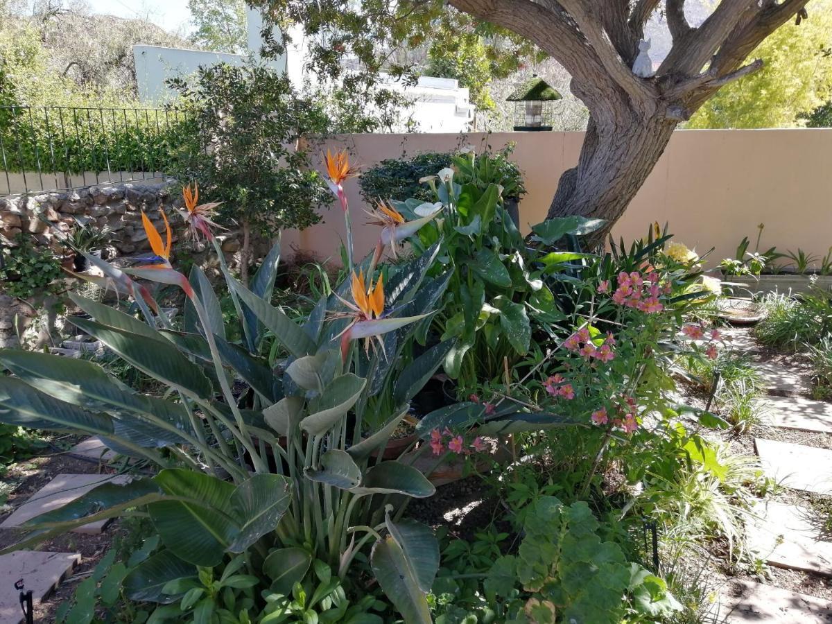 Bed and Breakfast Squirrels Corner Montagu Exterior foto